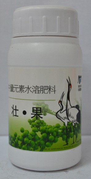 壯·果(停產(chǎn))